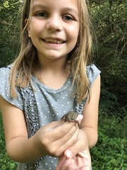 Greta and the Toad